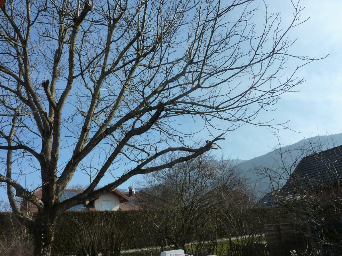 Studio proche Annecy Villa Naves-Parmelan Esterno foto